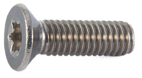 Bilde av Maskinskruer SH  ISO 14581 A4 M4x100 TX20